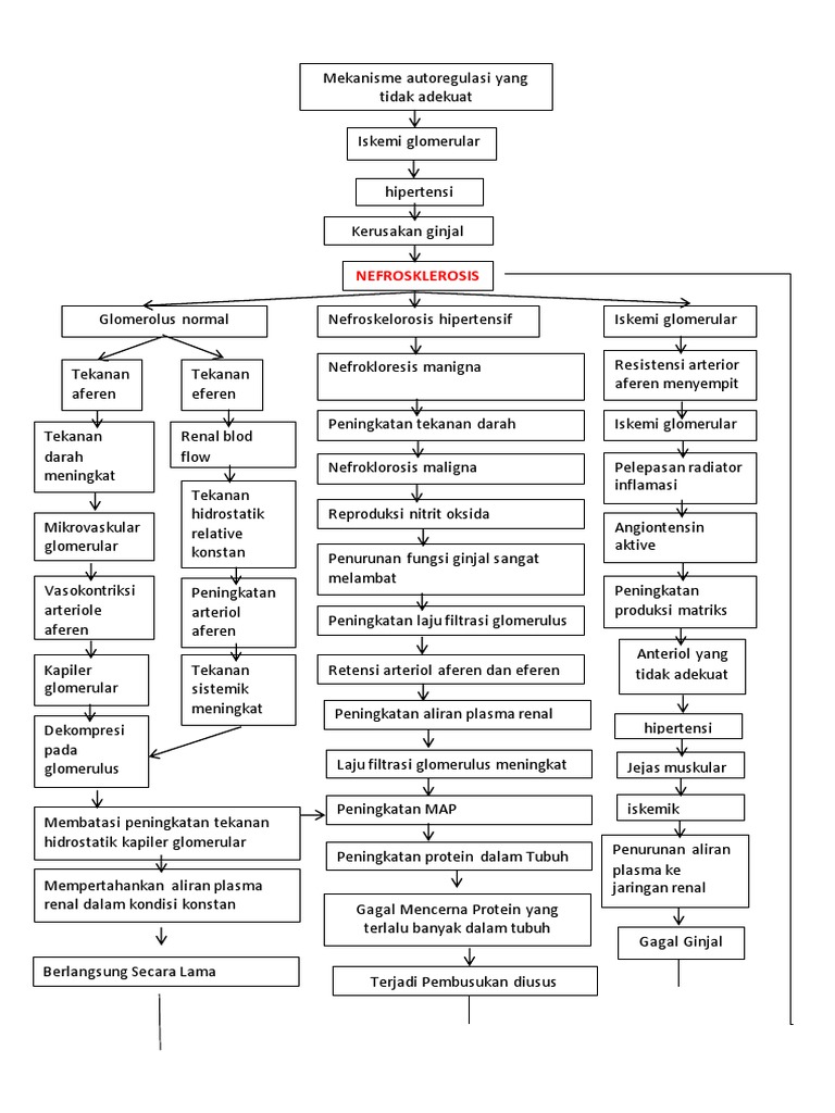 312258343WOCNEFROSKLEROSIS