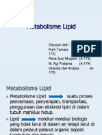 Metabolisme LIPID