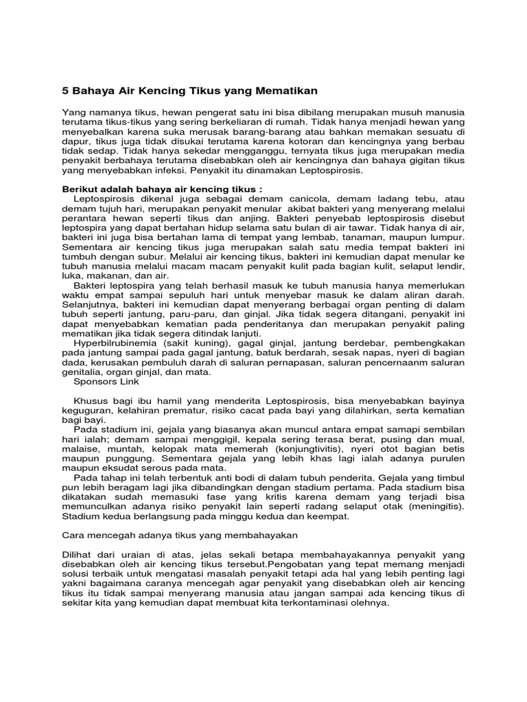 5 Bahaya Air Kencing Tikus Yang Mematikan PDF