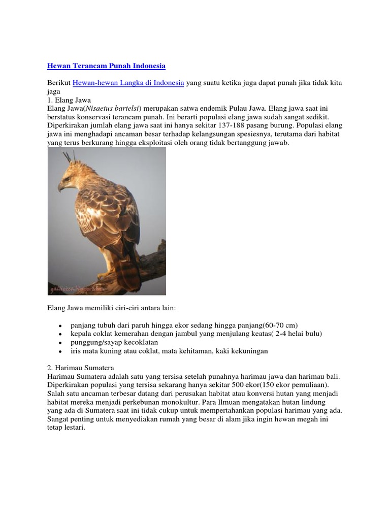 Hewan Terancam Punah Indonesia