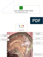 ANATOMI NEURO 2014.pdf