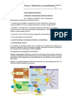 Tema 5 Nutrición y Metabolismo 1