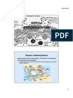 SistemEndomembran.pdf