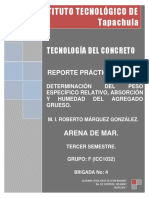 Reporte Practica No. 7. - DETERMINACIÓN DEL PESO ESPECÍFICO RELATIVO, ABSORCIÓN Y HUMEDAD DEL AGREGADO GRUESO.