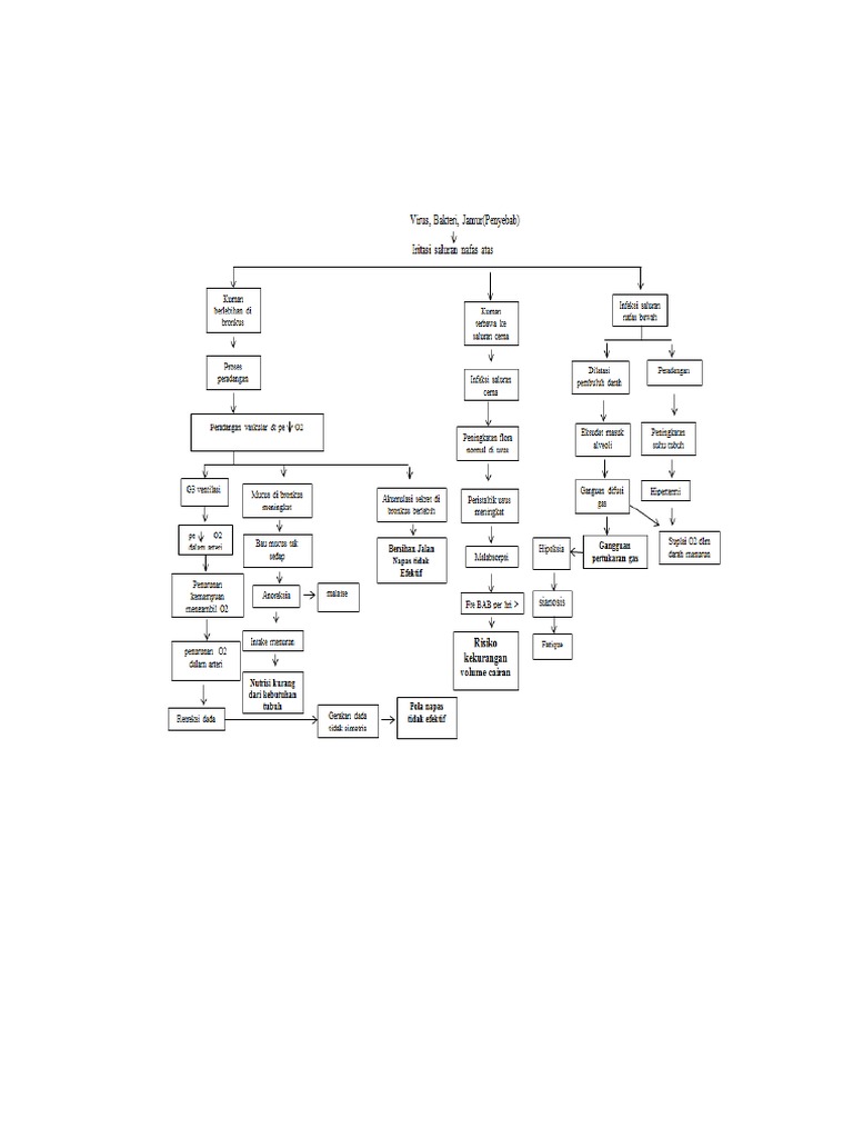 Pathway BP | PDF