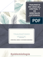 Traumatismo Vesicouretrogenital