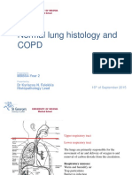 Normal Histology of The Lung and COPD 2015