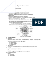 Materi Irt Praktikan