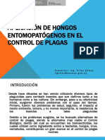 Cha Hongos Control Plagas PDF