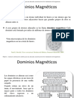 Dominios Magnéticos