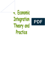Economic Integration Theory