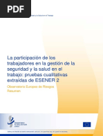 Summary Worker Participation ESENER 2 ES