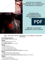 02.patologia Pulmonara Cronica - Cancerul Pulmonar