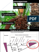 Clase 10 Gymnos II - 2014 PDF