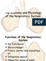 RespiratorySystem.ppt