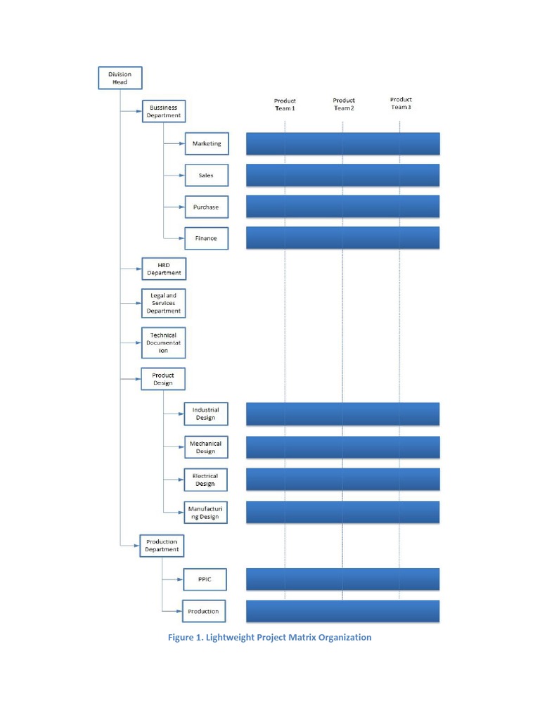 Lightweight Project Matrix Structure | PDF | Engineering | Business