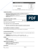 Formato Cv-Bolsa de Trabajo