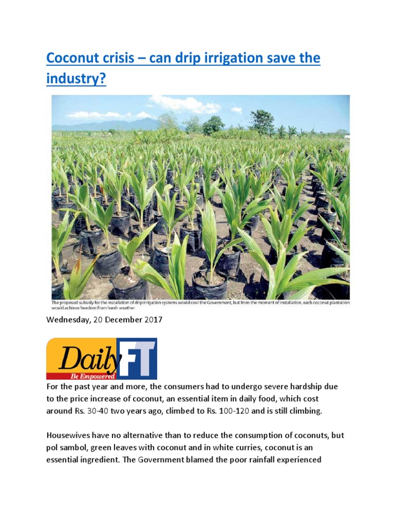 Coconut crisis can drip irrigation save the industry.docx