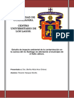 Impacto Ambiental PDF