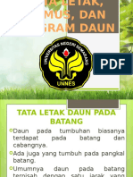 Tata Letak, Rumus, Dan Diagram Daun