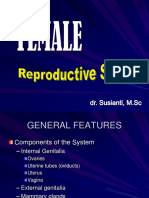 Female Reproductive System-Ss