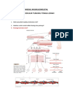 Grady Modul Muskuloskeletal