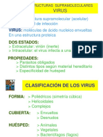 Estructura Virus