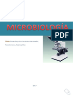 Nocardia y Otras Bacterias Relacionadas