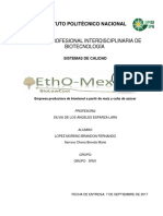 Manual para La Auditoria