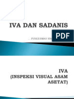 Iva Dan Sadanis