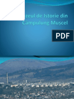 Muzeul de Istorie Din Câmpulung Mușcel