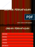 Sistim Pernapasan Power Point