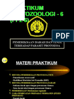 Ppz-6 Pemeriksaan Protozoa