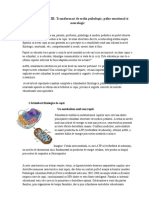 COPIII-MILENIULUI-III.pdf