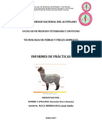 Informe de Practicas