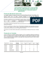 8.analisis Sectorial Sacha Inchi PDF