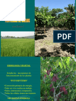 Fertilidad de Suelos PDF