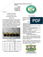 Proyecto de Investigacion