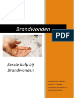 Brandwonden Cursus PDF