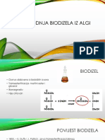 Alge I Biodizelkonačna Verzija1