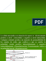 Electrocardiogram A