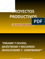 PROYECTOS PRODUCTIVOSICA