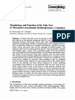 Zoomorphology: Morphology and Function of The Tube Feet of (Echinodermata: Crinoidea)