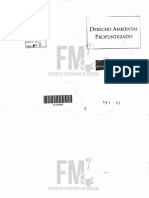 (521-09) Derecho Ambiental Profundizado - Pigretti