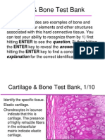 Cartilidge Bone Test Bank