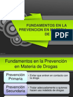 Fundamentos en La Prevención en Materia de Drogas