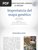 Importancia Básica y Aplicada de Los Mapas Genéticos
