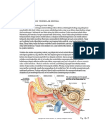 Anatomi Fisiologi Vestibular Sistema