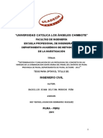 Tesis - Determinacion y Evaluacion de Las Patologias Del Concreto en Las Veredas