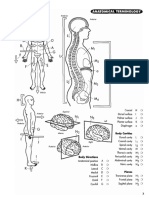 Coloring Workbook Anatomy Princeton Review